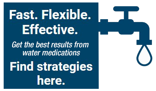 Fast Flexible Effective Find Strategies Here Text Displayed with Drainpipe